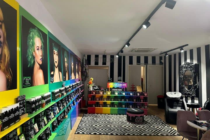 Attitude Hair Dye Hangouts