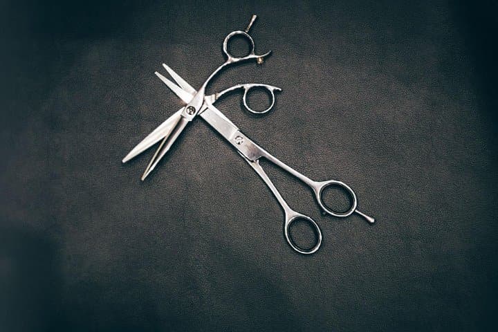 The Living Groom (Mister Rambut)
