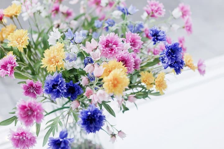 Centifolia Huidkliniek